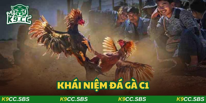 Đá gà C1 trở thành chủ đề giải trí có sức thu hút mãnh liệt