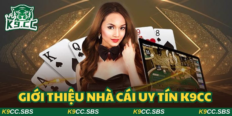 Giới thiệu K9CC giúp bạn hiểu rõ hơn về thương hiệu uy tín